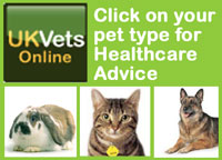 Pet Information