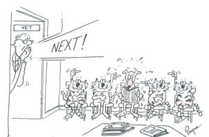 Waiting Room Cartoon