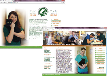 Hillpark Vets Website