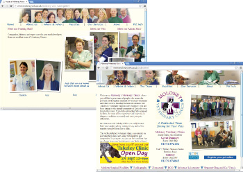 Moloney Vets Website