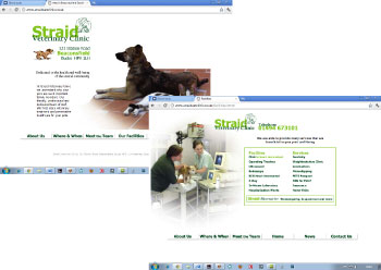 Straid Vets Website