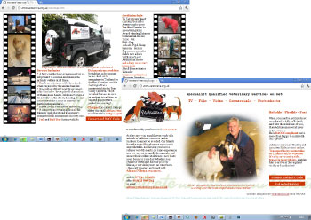 Vetcetera Website